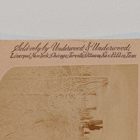 ANTIQUE STEREOGRAPH CARD A Lovers' Walk, Niagara Falls, U.S.A - Picture 4 of 5